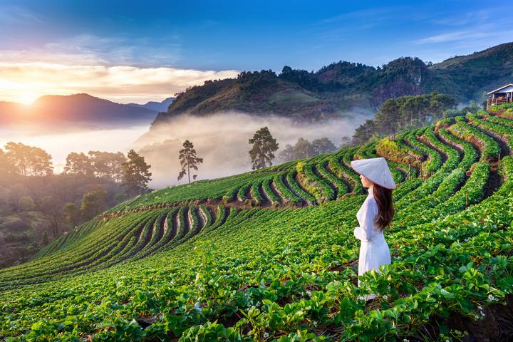 Nội dung: Mùa hè đang đầy vui vẻ với những xu hướng mới, và Huda Ice Twist đang chinh