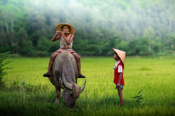 Xu hướng Diễn biến bầu cử Tổng thống: Hotspot Matrix tiết lộ bí quyết video viral
